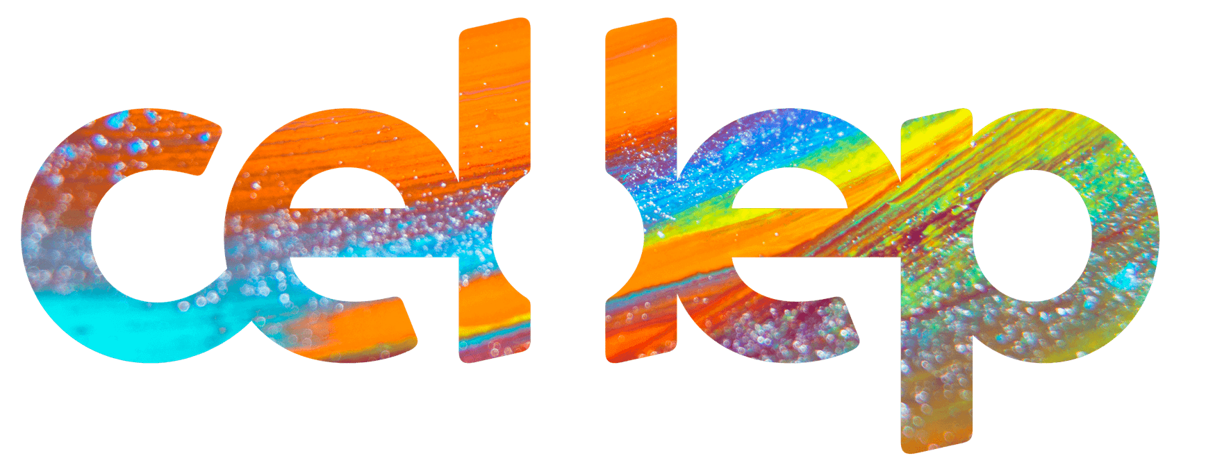 No momento, você está visualizando Escola de idiomas Cel.Lep firma parceria com a Afresp