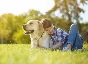 Leia mais sobre o artigo Seguro PET: proteção para o seu melhor amigo!