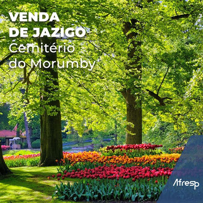 No momento, você está visualizando Venda de jazigos: garanta amparo para sua família no momento mais difícil