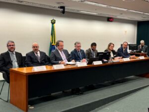 Leia mais sobre o artigo Membros do Movimento VIVA participam de Audiência Pública sobre Reforma Tributária na Câmara dos Deputados