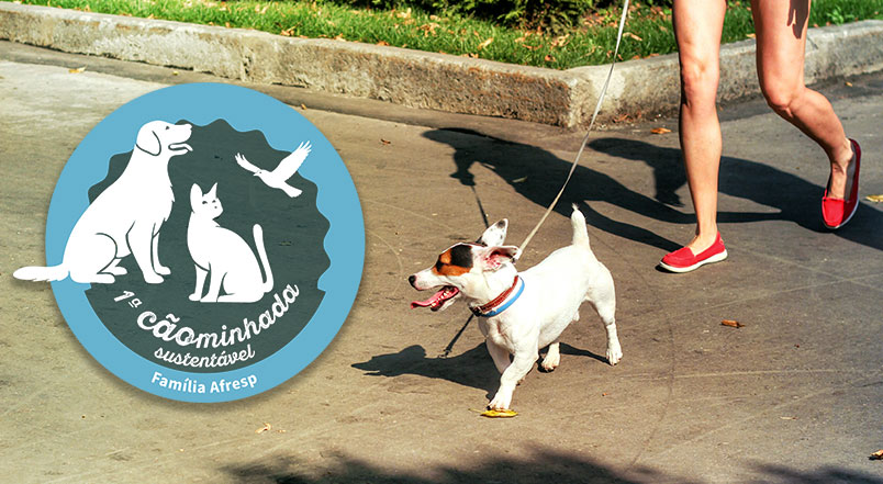 Leia mais sobre o artigo 1ª CÃOminhada Sustentável Família Afresp: divirta-se com o seu pet!