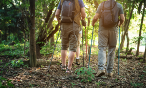Leia mais sobre o artigo Caminhada e Trilha Afresp: prepare-se para a 3ª edição