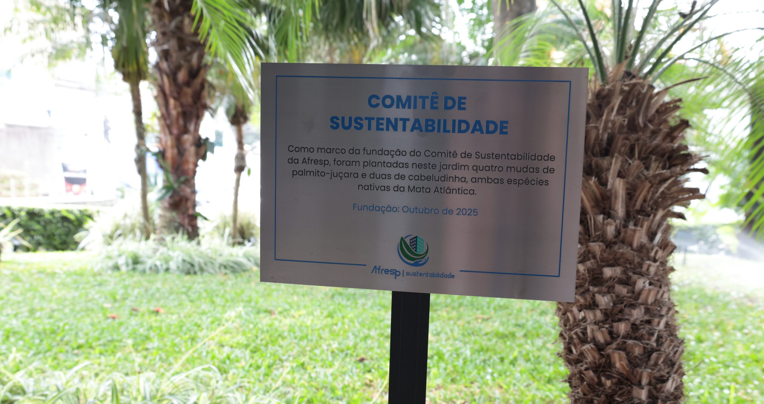 Leia mais sobre o artigo Comitê de Sustentabilidade completa 1 ano e reafirma o compromisso da Afresp com práticas transformadoras