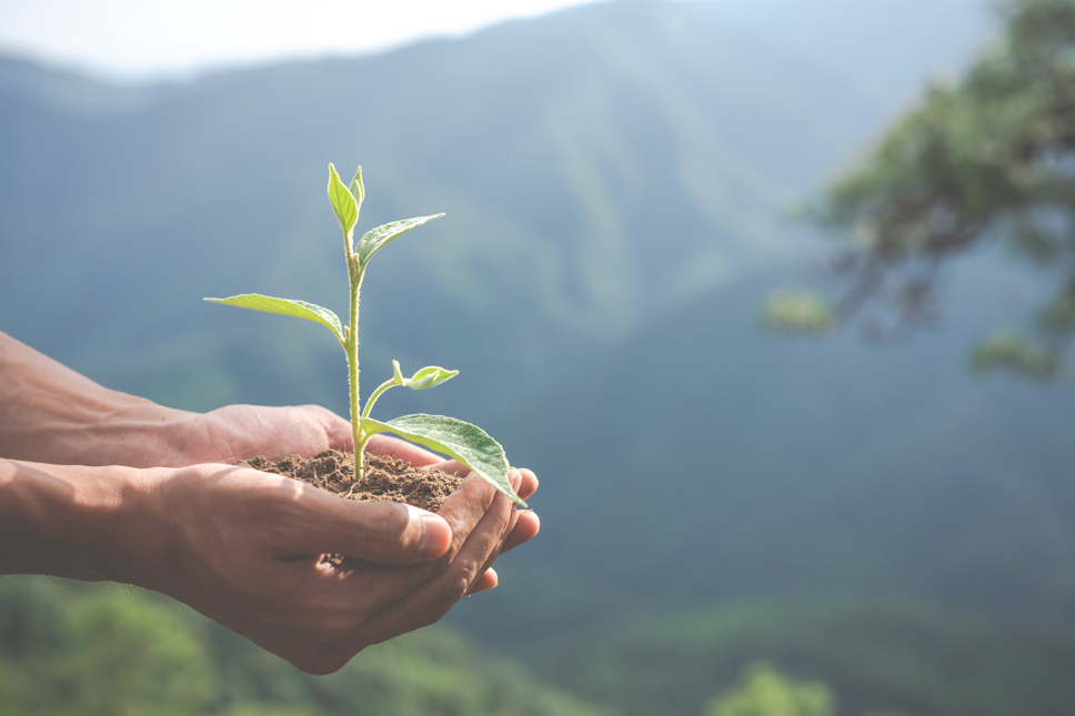 Leia mais sobre o artigo Sustentabilidade em Ação: Uma conversa sobre escolha e impacto
