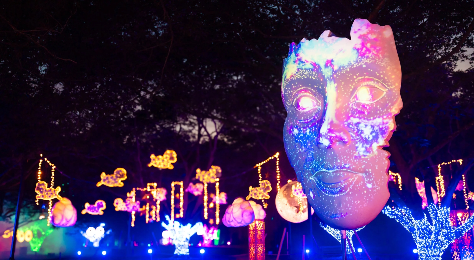 No momento, você está visualizando Uma noite para brilhar – Afresp no Festival Brilha Sonhos
