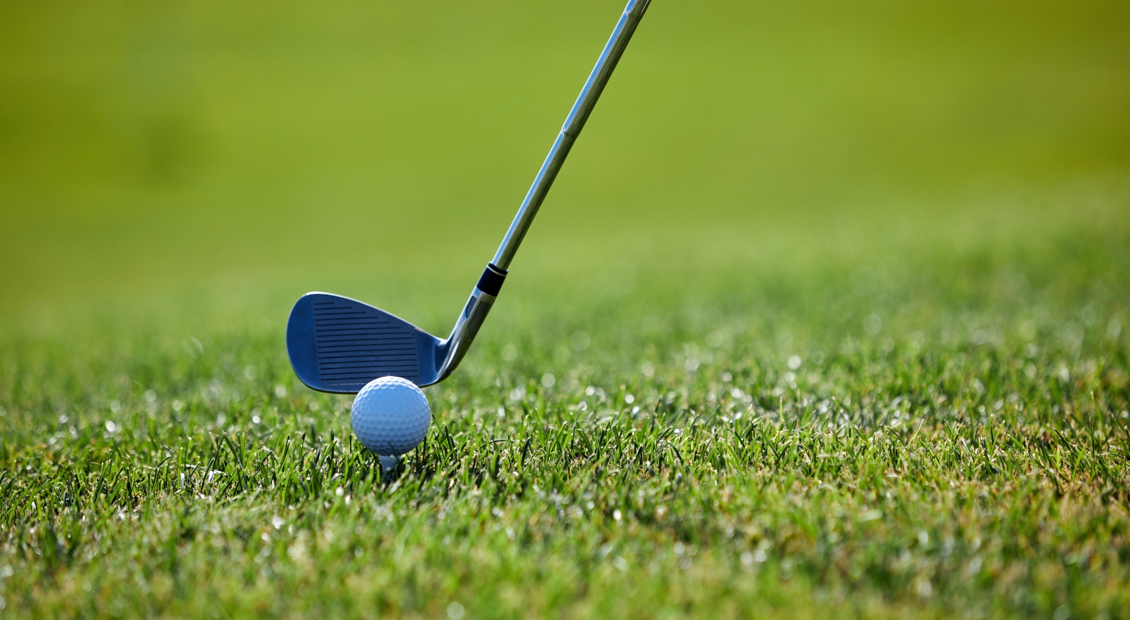 No momento, você está visualizando Golf – Tacada Inicial Família Afresp