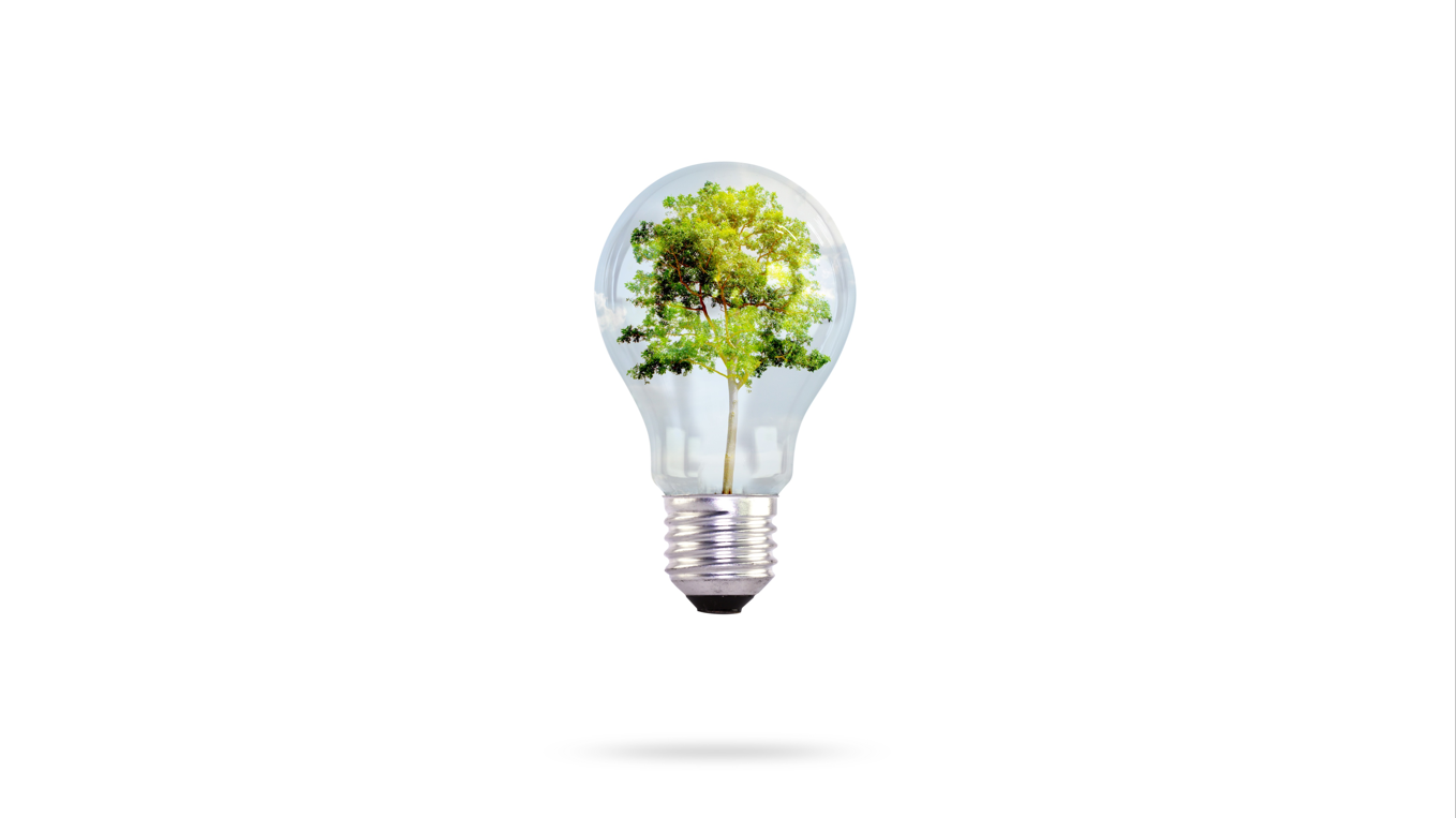 No momento, você está visualizando Afresp conclui substituição de lâmpadas da sede por modelos mais econômicos e sustentáveis