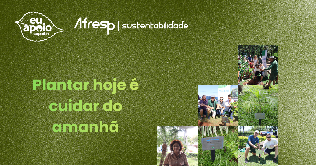 Leia mais sobre o artigo Dia da Árvore: plantar hoje é cuidar do amanhã